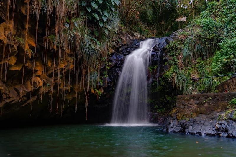 Keisha — Rainforest & Waterfall Explorer