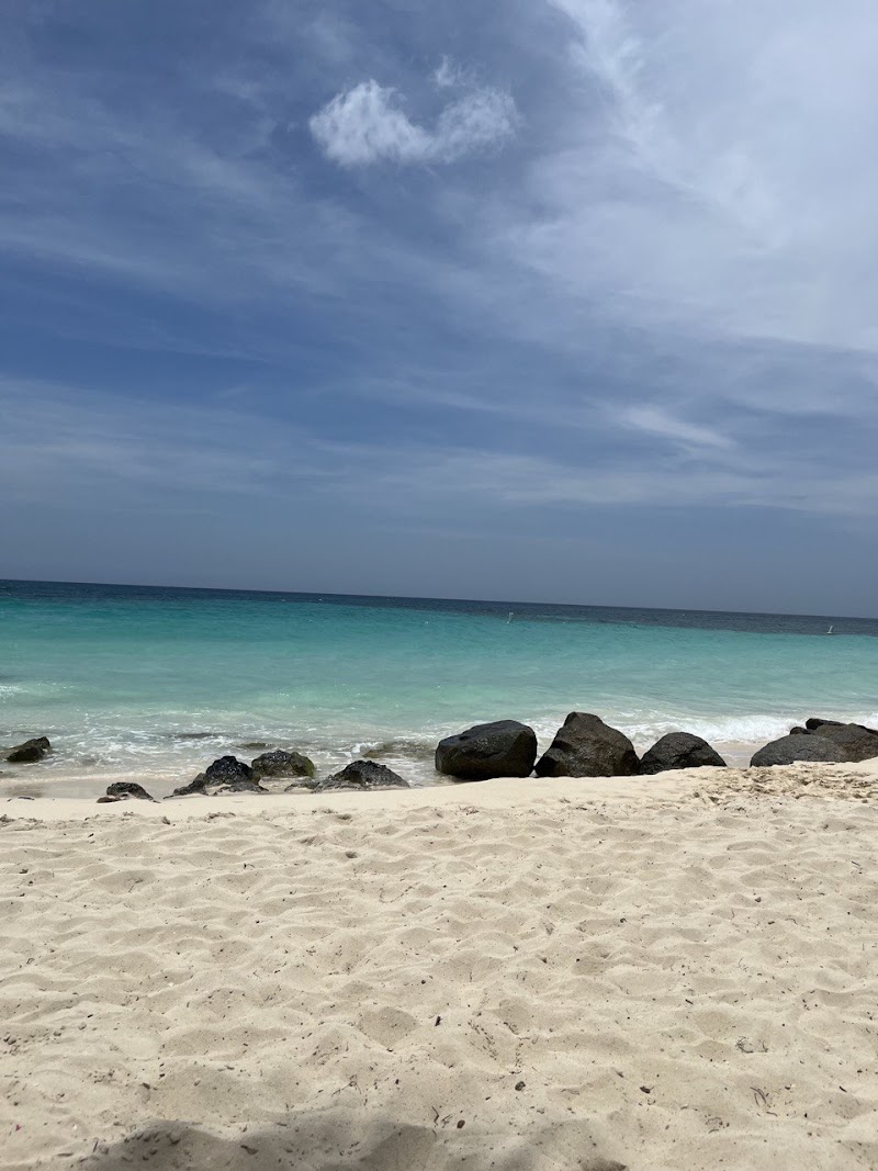 Alpha Tours & Transfers Aruba