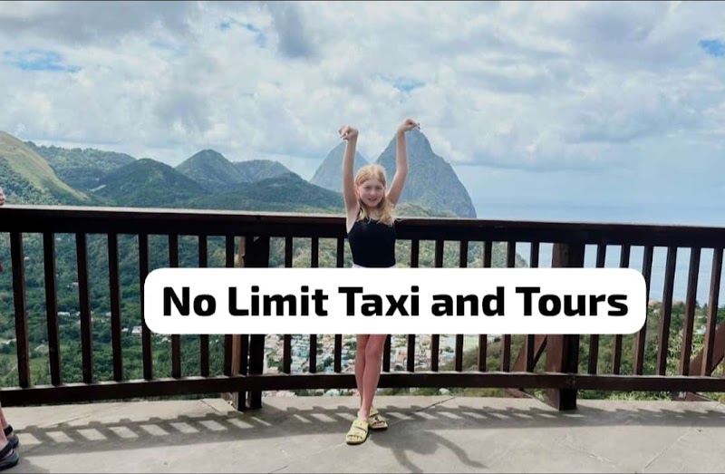 No Limit Taxi And Tours