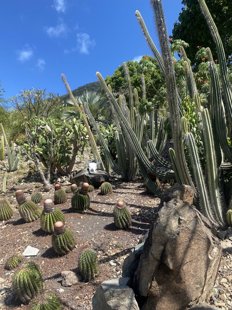 du Désert, La Désirade Botanical Garden