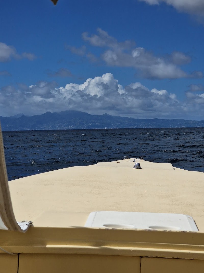 Mako Tours