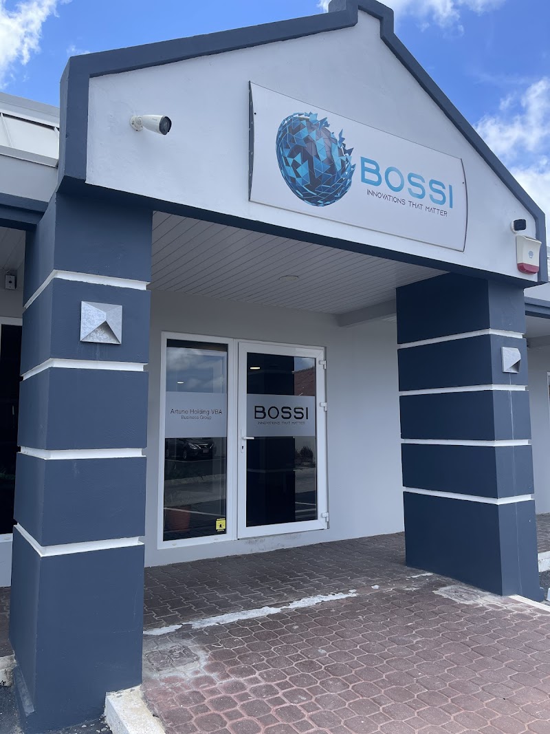 PRORISK SECURITY RISK MANAGEMENT N.V.- BOSSI SECURITY ARUBA
