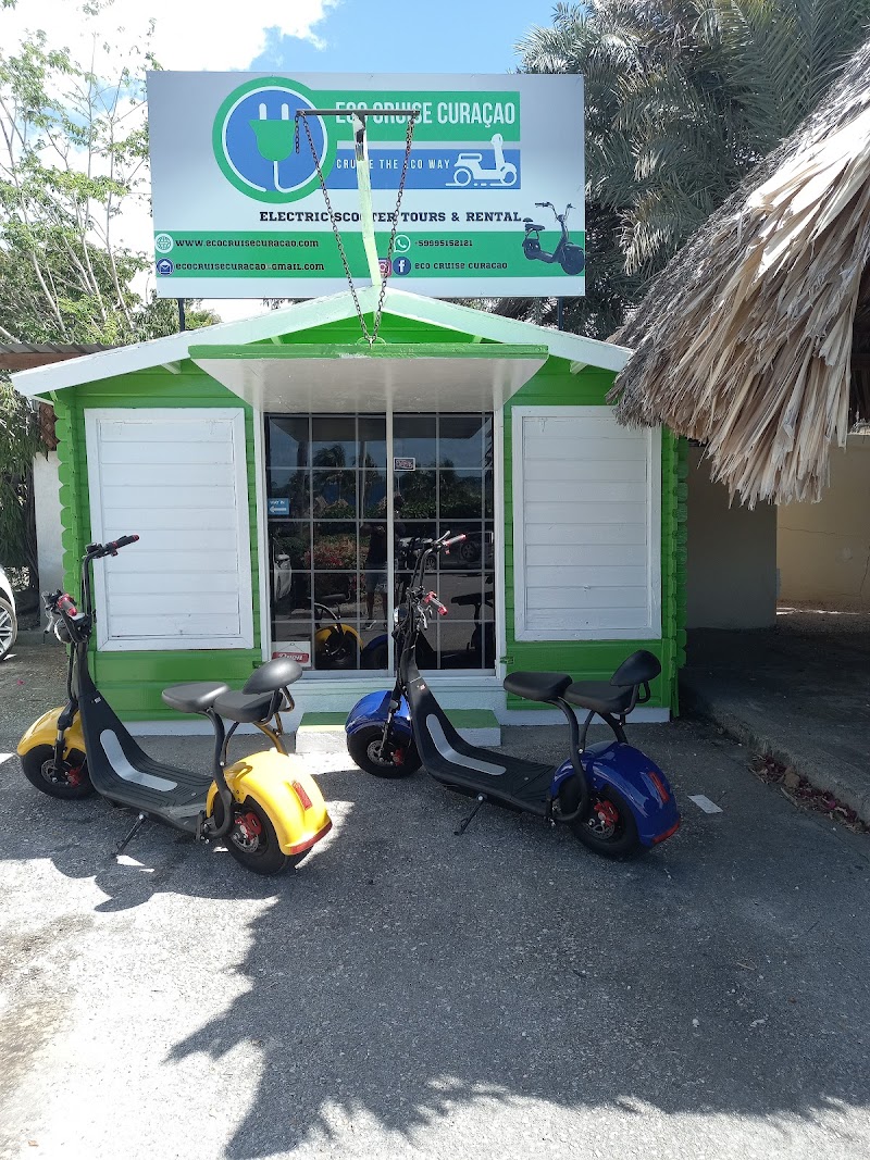 Eco Cruise Curaçao - Tour Activities
