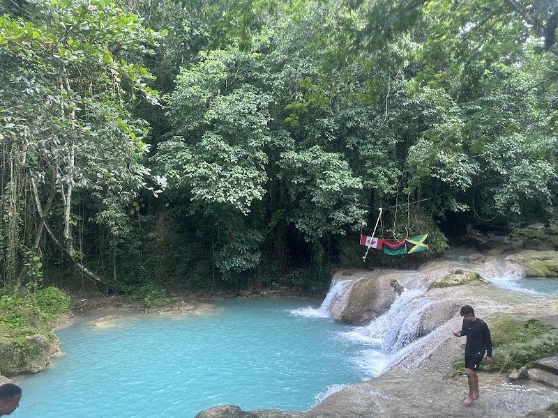 Byron's Jamaica Tours