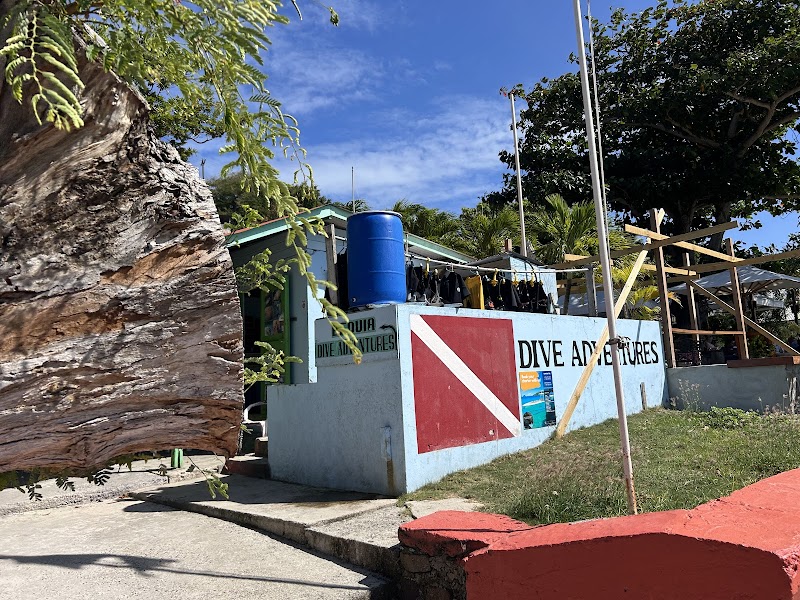 Dive Adventures
