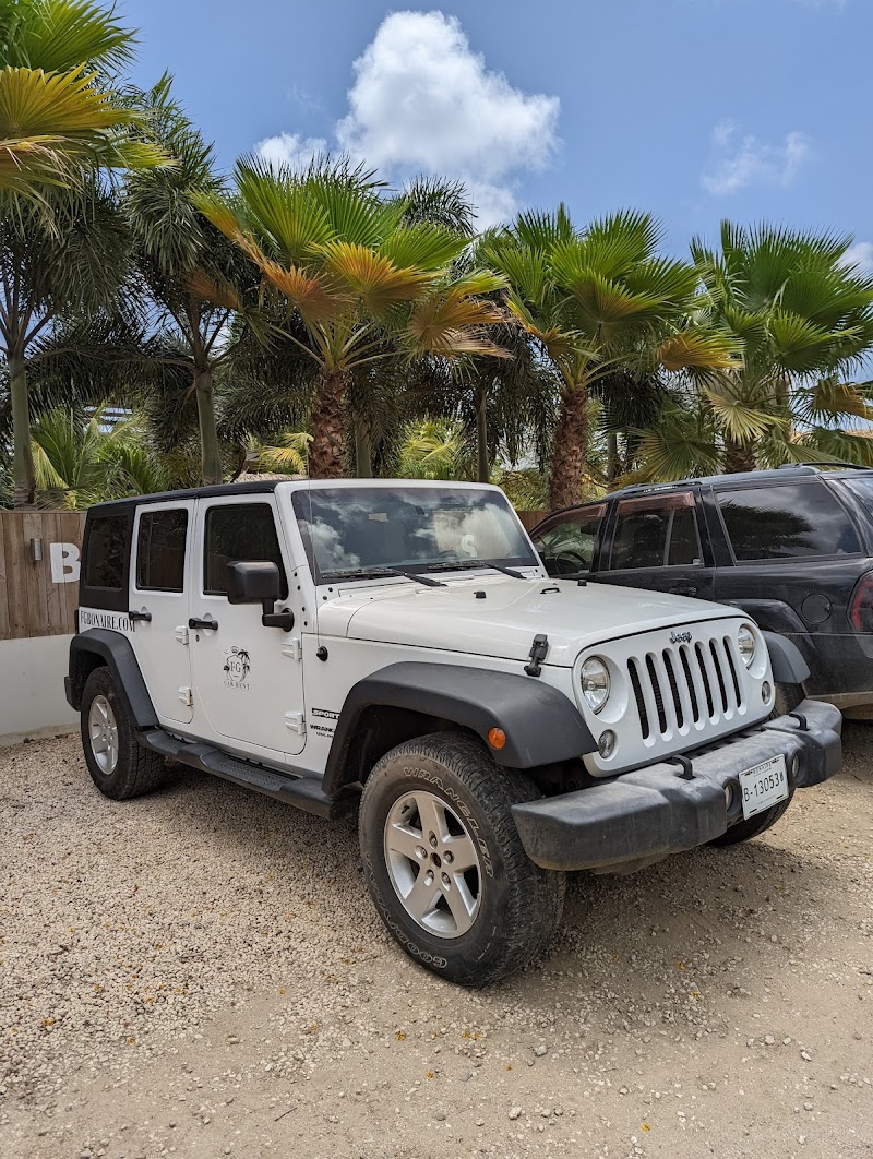 FG Company Car Rental