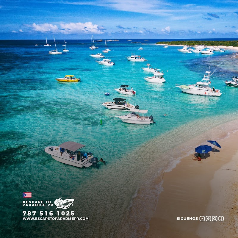 Escape To Paradise PR
