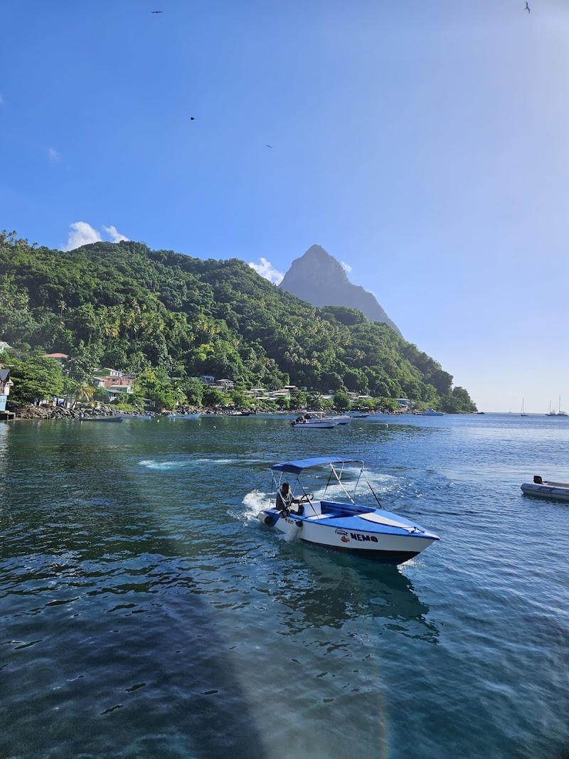 Finding Nemo water taxi an tours