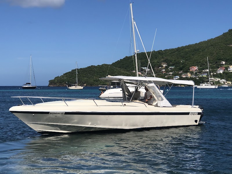 Michael Tours Bequia