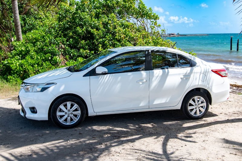 Buzz Car Rental