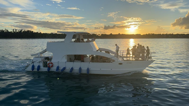 Going Party Boat