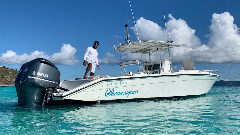 Ocean Bliss Charters And Water Taxi | BVI Yacht Charters