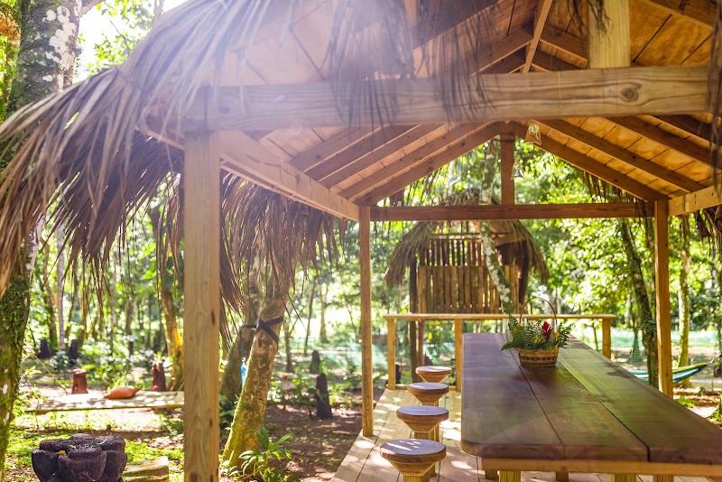 Liamuiga Natural Farm - St.Kitts' Coffee Farm