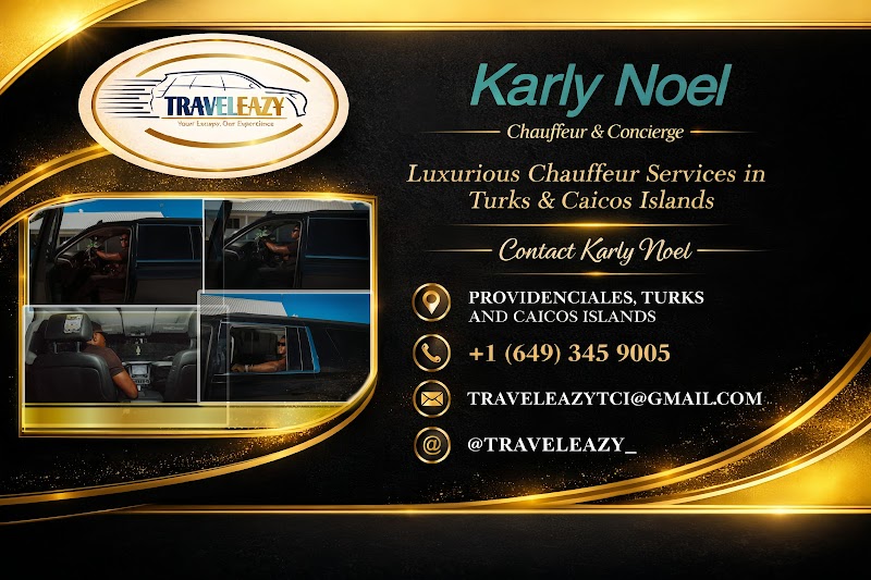 Travel Eazy Luxury Transportation Services