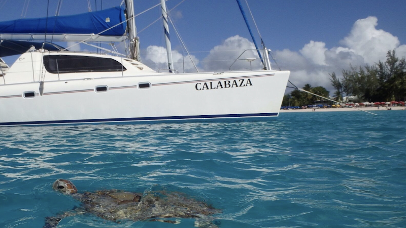 Calabaza Sailing Cruises
