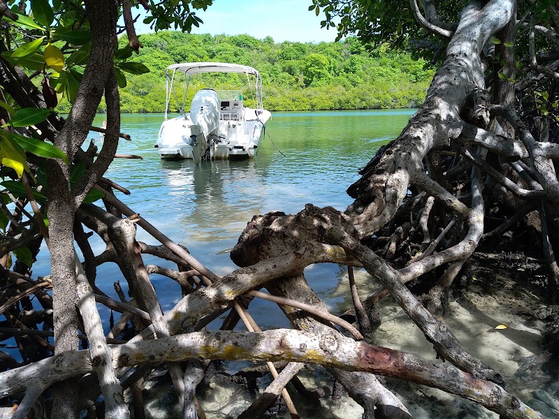 Les fonds blancs avec Gérald - Excursion Bateau Martinique