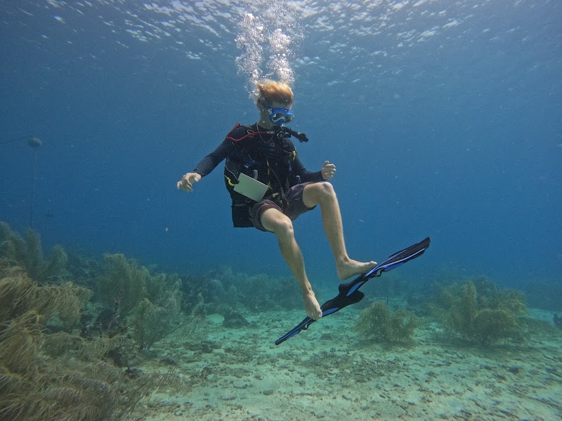 Atlantis Plongée, Guadeloupe