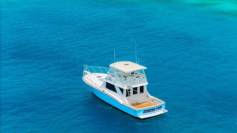 Cocolizo Aruba