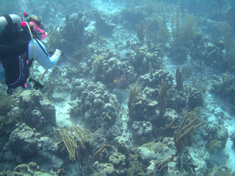Dive Diva Bonaire