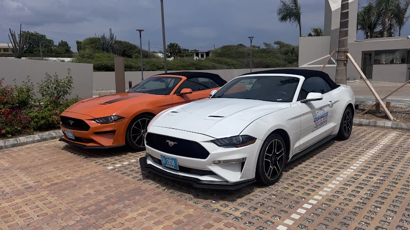 Casamigos Car Rental