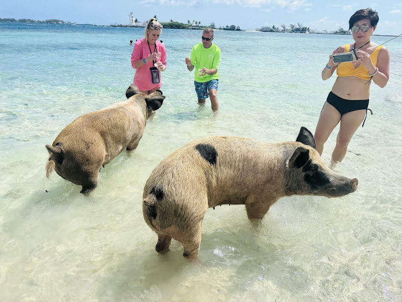 Tropical Breeze Tours