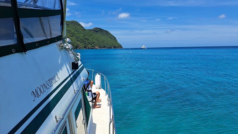 Moonstruck Charters